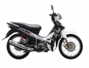 https://cafeauto.vn