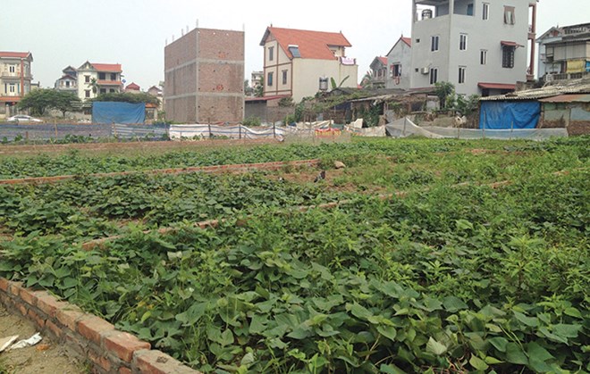 Hà Nội: Sắp đấu giá 252 thửa đất