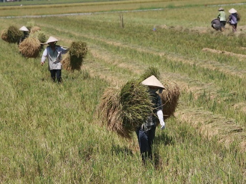 Cần tăng tiền đền bù cho người dân