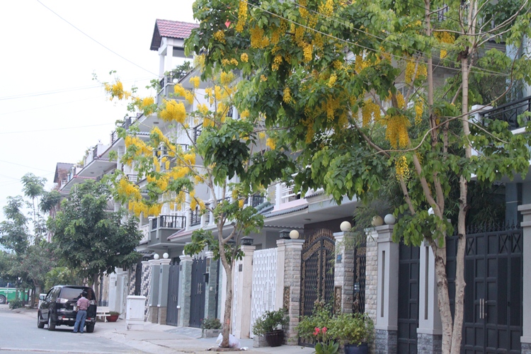 Tổng hợp sự kiện bất động sản nổi bật tuần 1 tháng 11