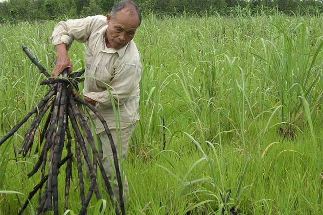 Bất cập từ giấc mơ phát triển công nghiệp: Hoang hóa đất đai, lãng phí trăm bề