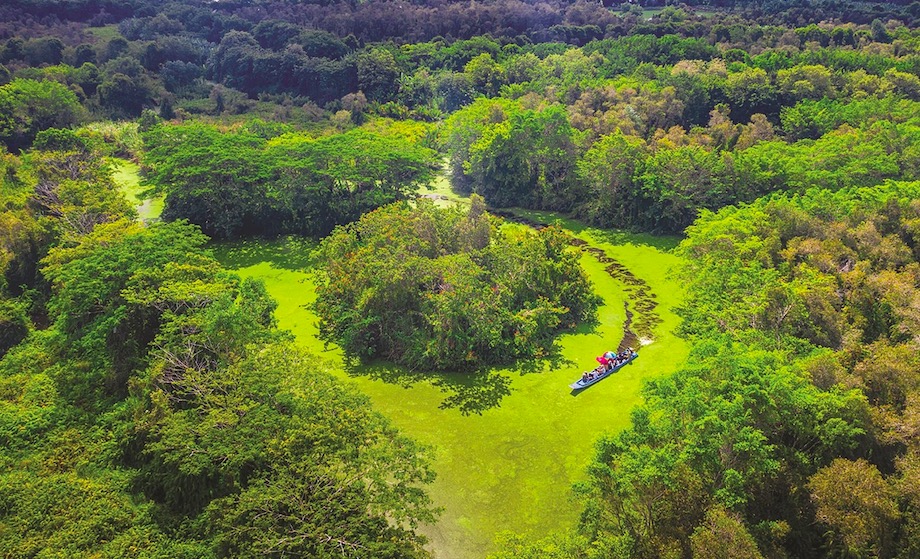 Hậu Giang lên kế hoạch làm khu du lịch sinh thái 2 800ha CafeLand Vn