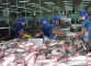 Công ty Bình An trả dứt nợ nông dân