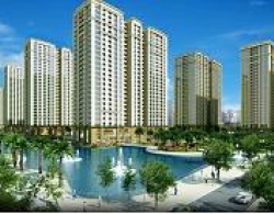 Báo cáo thị trường căn hộ tháng 7 