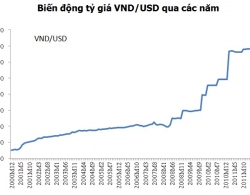 Tỷ giá 2013: Chuyên gia và NHNN “kẻ tám lạng, người nửa cân”