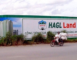 Những tử huyệt của Hoàng Anh Gia Lai
