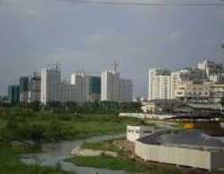 Cứ khó khăn lại xin... giải cứu 