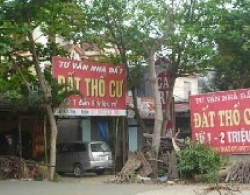 Chuyện bên những tấm biển rao bán đất 