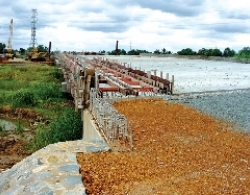 TP.HCM: Ban hành giá đất bồi thường đường cao tốc TP.HCM - Long Thành - Dầu Giây và nút giao Vành Đai 2 