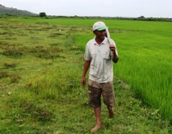 Có hay không dự án sân golf trá hình?
