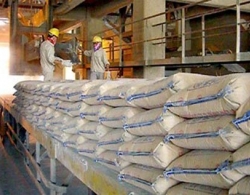 Cay đắng xi măng: Tập đoàn đổ nợ cho Chính phủ