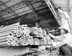 Ngừng sản xuất để tránh tồn kho