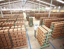 Doanh nghiệp vật liệu: Tắc đường to, dò ngõ nhỏ!