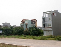 Dự án nào được chia lô, bán nền?