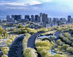 Bài học 20 năm phát triển đô thị trên đầm lầy