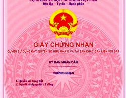 Bất động sản 24h: Bỏ cấp sổ hồng?