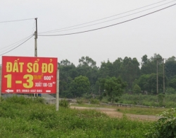 Chết khô với biệt thự nghỉ dưỡng ven đô