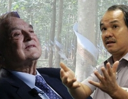 Global Witness: HAGL nói “không đúng”