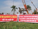 “Hà Nội chưa có dự án nào được chuyển đổi”