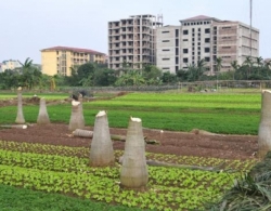 Ðóng góp ý kiến Dự thảo Luật đất Ðai (sửa đổi) Thu hồi đất phải tính đến sinh kế lâu dài của người dân