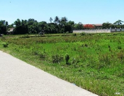 Dàn xếp đấu giá đất để ăn chia (kỳ 1)