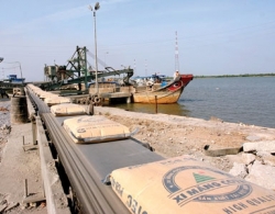 Xi măng hồi sức