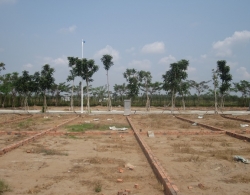 
                    Ba Ria - Vung Tau: Khong co ngoai le “phan chia tai san” khi tach thua dat                