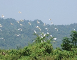 
                    Nhung tinh huong oai oam trong viec mua ban nha dat                