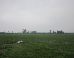 
                    Quang Nam: Dan vui mung vi du an treo                