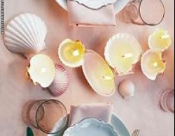 Trang trí nhà với vỏ sò, vỏ ốc 