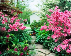 Bí quyết tạo vẻ đẹp ấn tượng cho vườn nhà