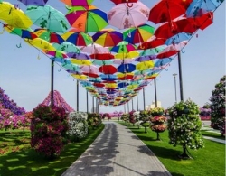 Ngắm vườn hoa tự nhiên lớn nhất thế giới ở Dubai