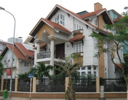 
                        Anh huong cua vat lieu xay dung toi van mang gia chu                    