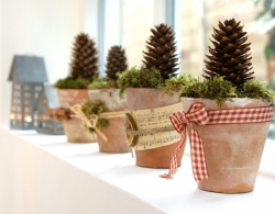 
                        Cua so lung linh don giang sinh                    