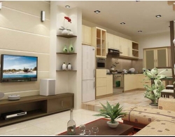 
                        Giai phap phong thuy cho nha chung cu                    