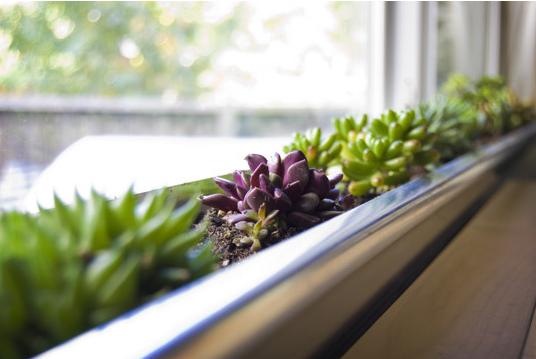 Bồn hoa cửa sổ: giải pháp hoàn hảo cho không gian hẹp 