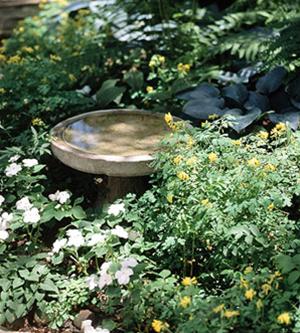 tiểu cảnh vững