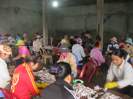 Ngư dân nghèo thành ông chủ chế biến hải sản
