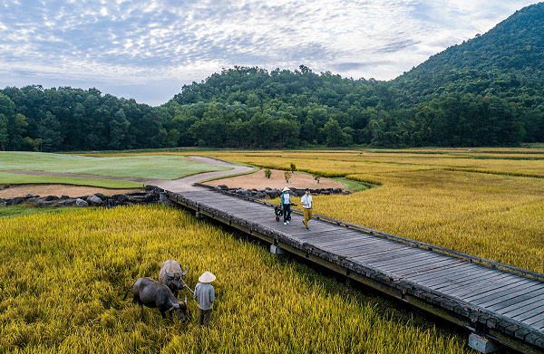 laguna-golf-lang-co-san-golf-ven-bien-dep-nhat-mien-trung