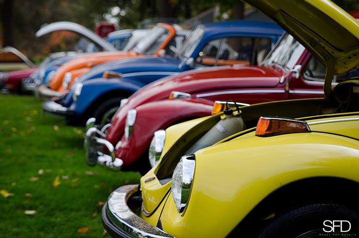 Ngày hội của những chú bọ VW
