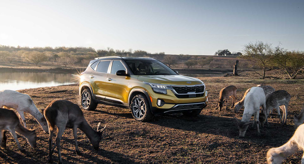 Điểm qua Kia Seltos 2021 - SUV “ngon nhất