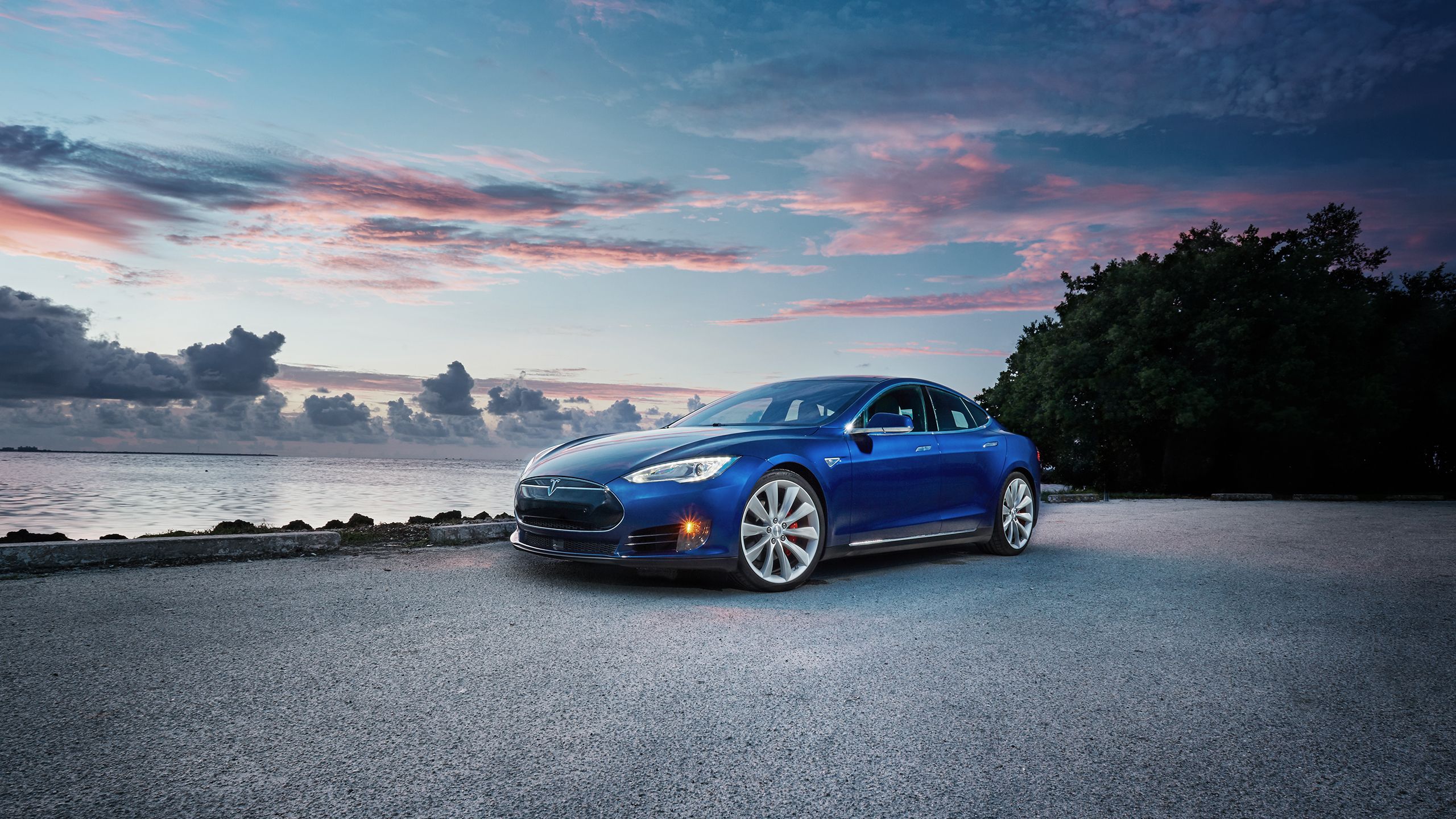 Tesla là ‘nhà vô địch’ trong năm 2018