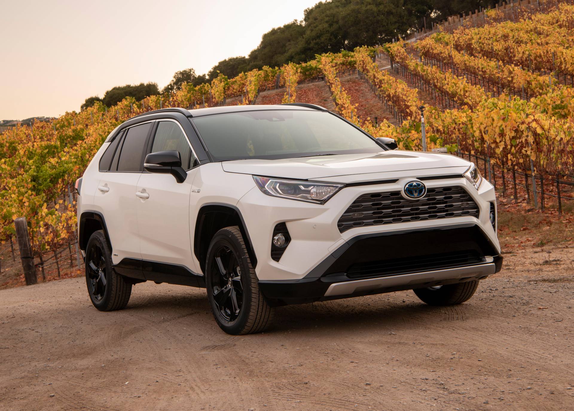Nguyên nhân sâu xa phía sau cú bắt tay của Toyota và Suzuki