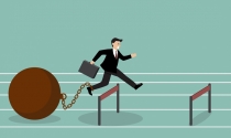 Startup: Con đường lập nghiệp không trải hoa hồng Startup: Con đường lập nghiệp không trải hoa hồng