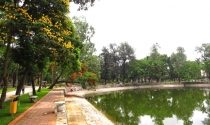 Nhòm ngó đất công cộng Nhòm ngó đất công cộng