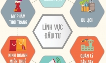 Infographic: Những dự án đầu tư của ông Johnathan Hạnh Nguyễn