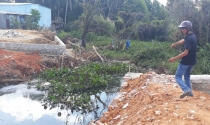 Lập đoàn kiểm tra vi phạm đất đai, chặt phá và lấn chiếm rừng ở Phú Quốc