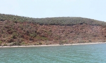 Cử cán bộ ‘nằm vùng’ ngăn sốt đất Vân Phong