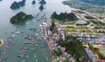 Quảng Ninh: Tạm dừng chuyển đổi, giao đất tại Vân Đồn