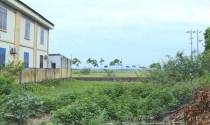 Phú Thọ: Nhiều doanh nghiệp thuê hàng vạn m2 đất rồi… bỏ hoang?!